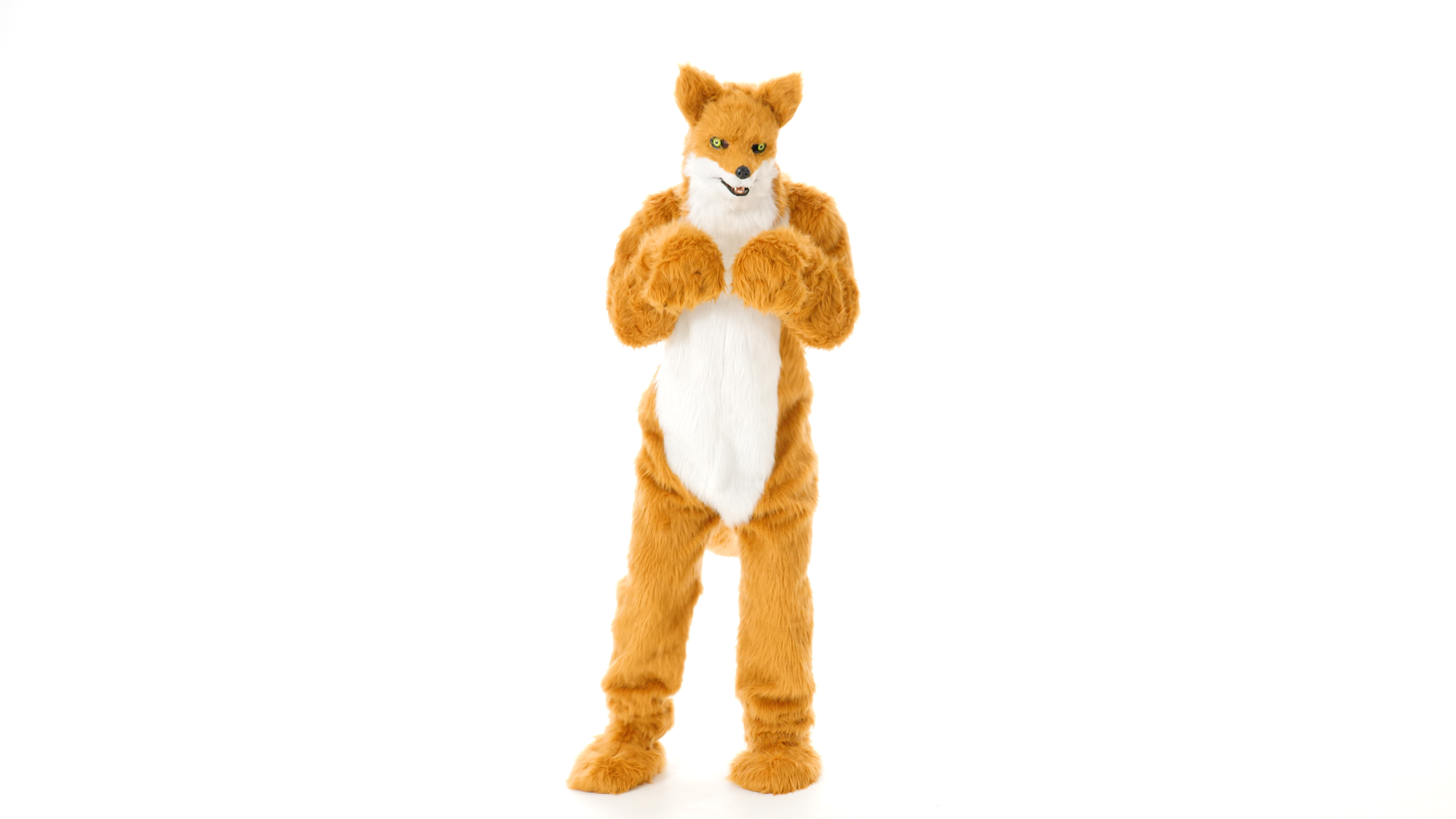 EL451210 Fox Suit